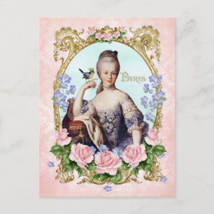 Marie Antoinette Pink Damask Antonia Rose Postcard