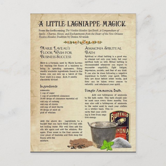 Marie Laveau's Floor Wash for Business Success Postcard (Front)