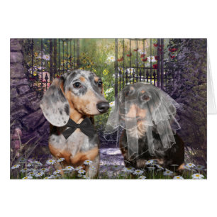 Mariée et mariée de Dachshund