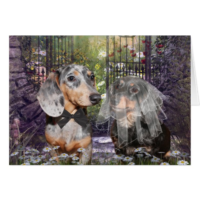 Mariée et mariée de Dachshund (Devant horizontal)