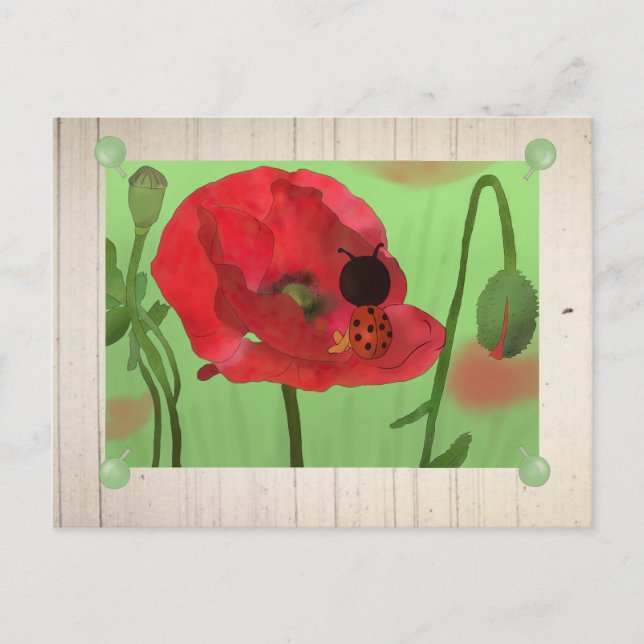 Marienkäfer am Mohn Postcard (Front)