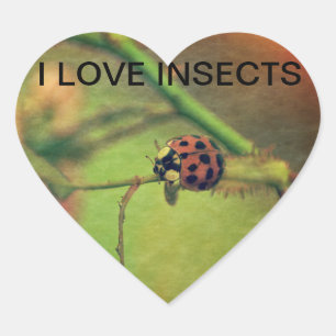 Marienkäfer Heart Sticker