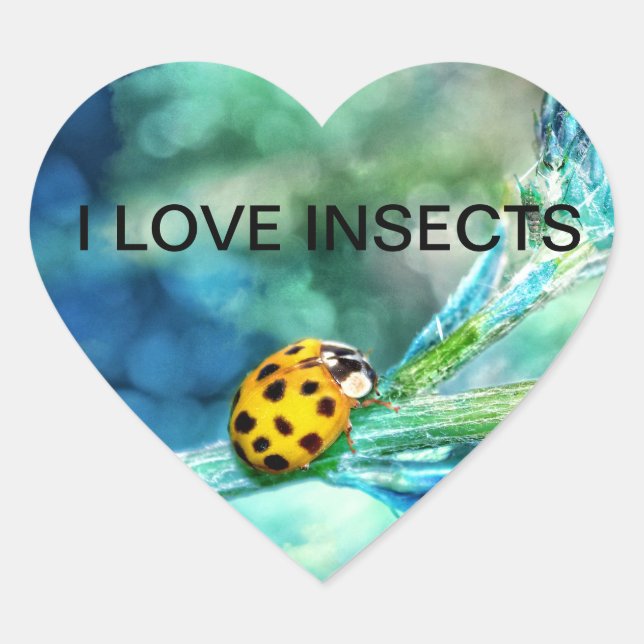 Marienkäfer Heart Sticker (Front)