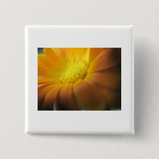 Marigold 2 Inch Square Button