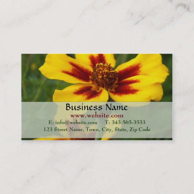 Marigold Business Card (Front)