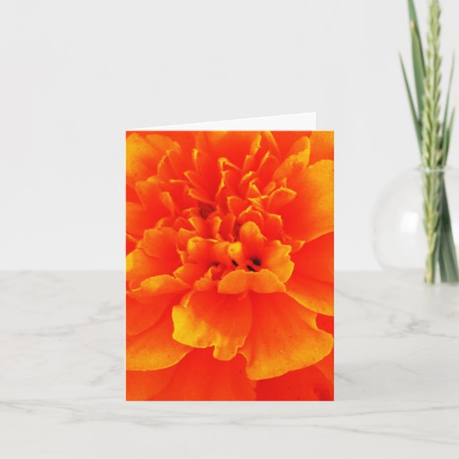 Marigold Card (Front)