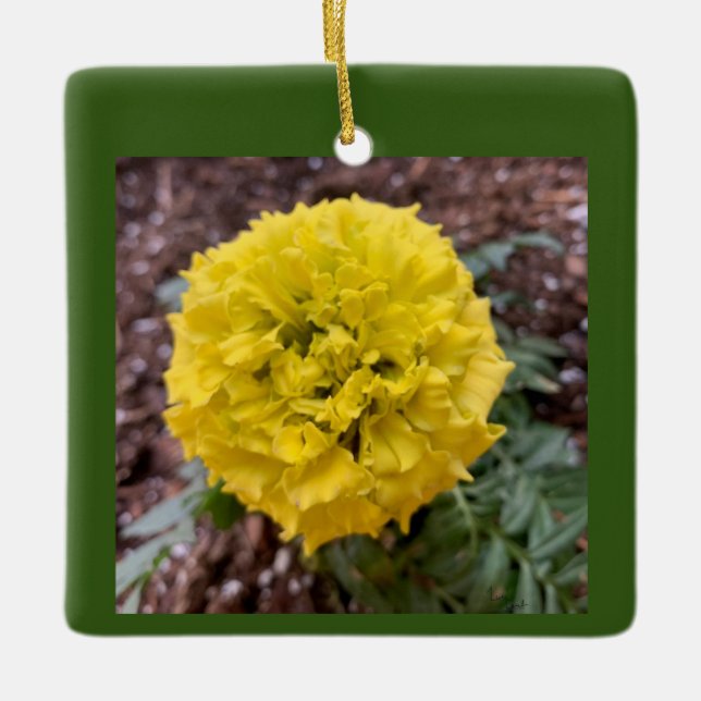 Marigold Ceramic Ornament (Front)
