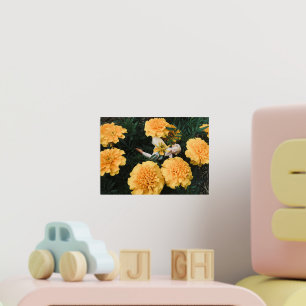 Marigold Fairy Foil Prints