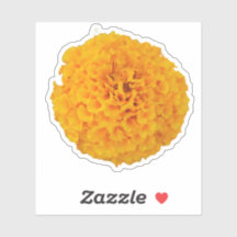 Marigold Flower