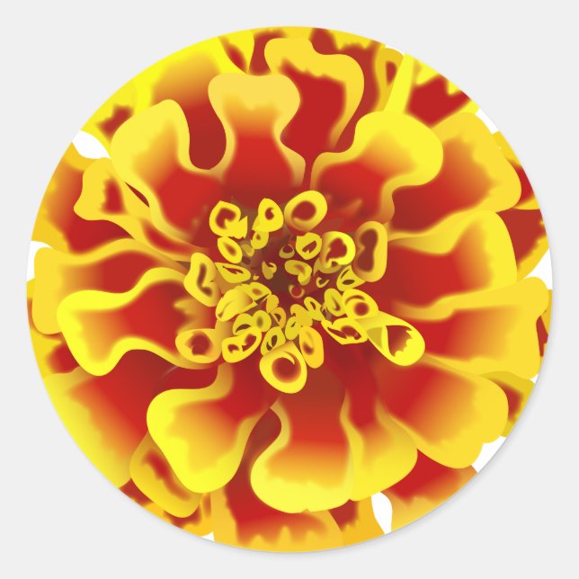 Marigold Flower Classic Round Sticker (Front)