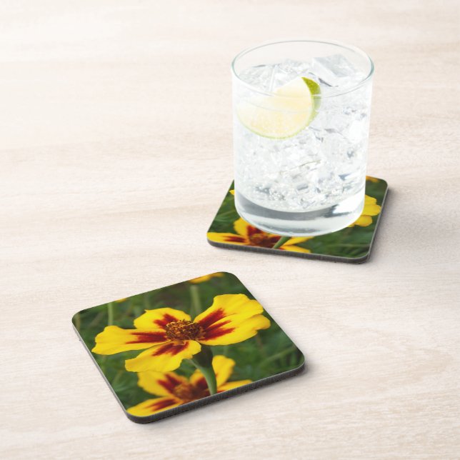 Marigold Flower Coasters (Right Side)