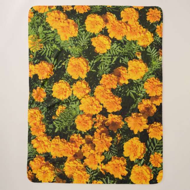 Marigold flower in blossoms sherpa blanket (Front)