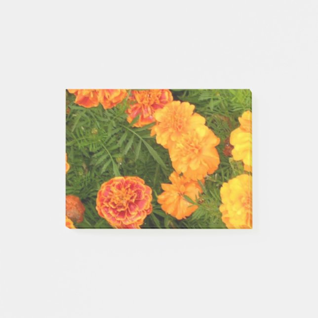 Marigold Flowers Post-it Notes (Front)