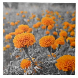 Marigold flowers tile
