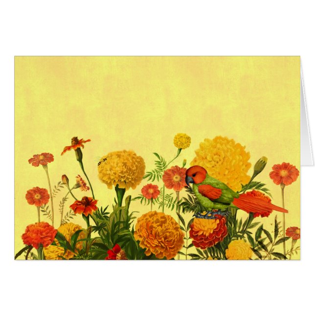 Marigold Garden dans Orange et Golden Hues (Devant Horizontal)