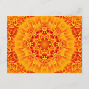 Marigold Mandala Postcard