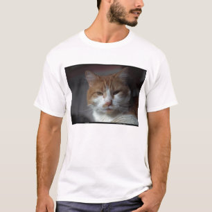 'Marigold' orange and white tabby cat T-Shirt