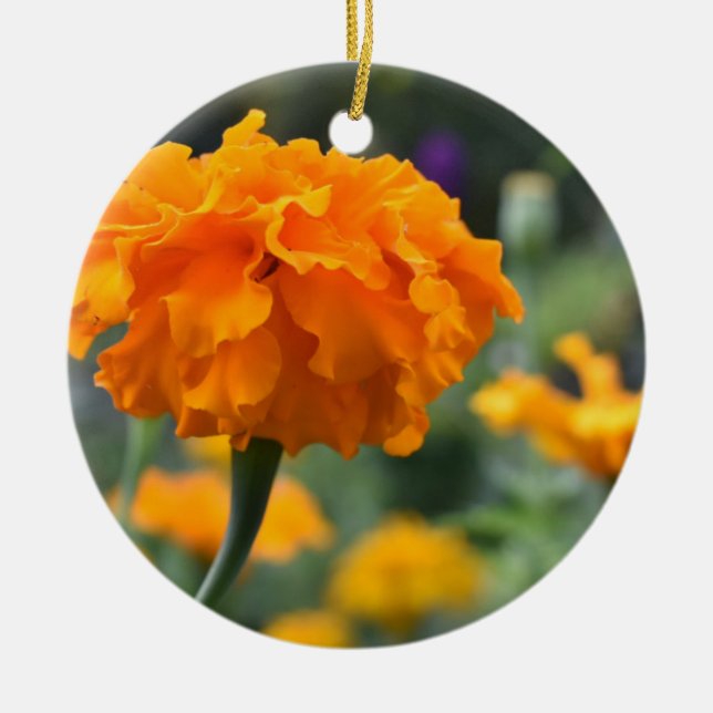 Marigold Orange Flower Nature Photography Garden Ceramic Ornament (Front)