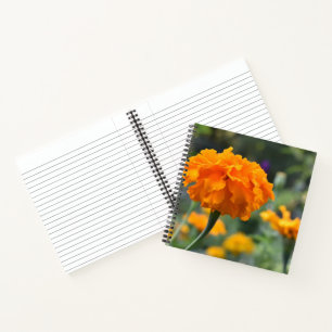 Marigold Orange Flower Nature Photography Garden Notebook