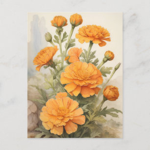 Marigold Postcard