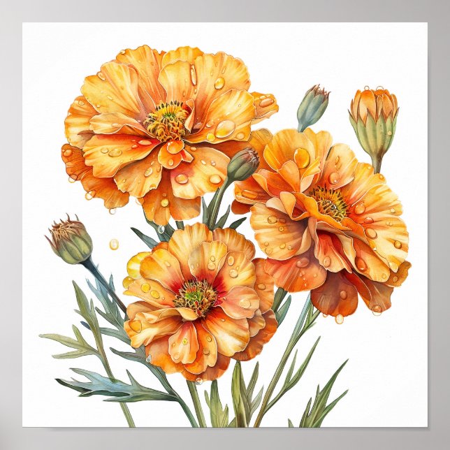 Marigold Print, Orange Flowers Wall Art  (Front)