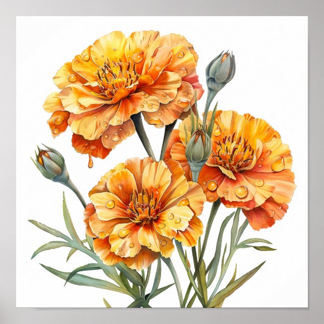 Marigold Print, Orange Flowers Wall Art  (Front)
