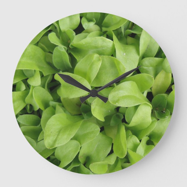 Marigold Seedlings Wall Clock (Front)