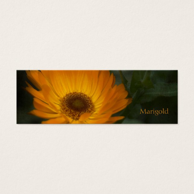 Marigold Signet (Devant)