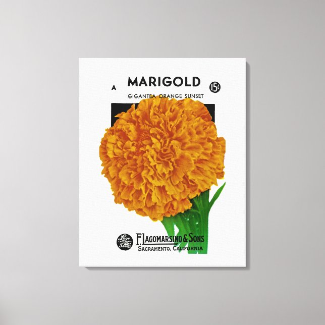 Marigold Vintage Seed Packet Canvas Print (Front)