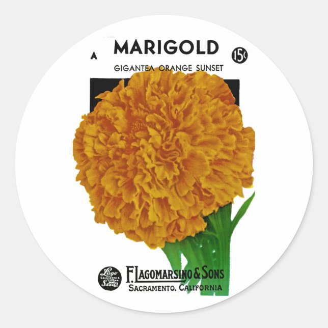 Marigold Vintage Seed Packet Classic Round Sticker (Front)