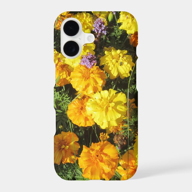 Marigolds (Back)