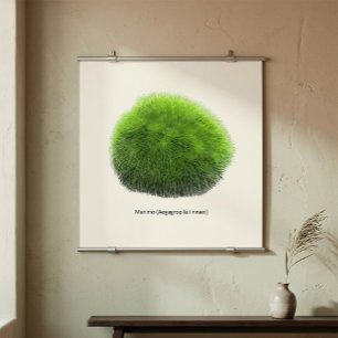 Marimo Moss Ball Hand Drawn  Poster