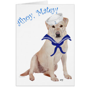 Marin Labrador jaune