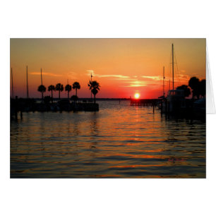 Marina de Dunedin "suspendant temps"