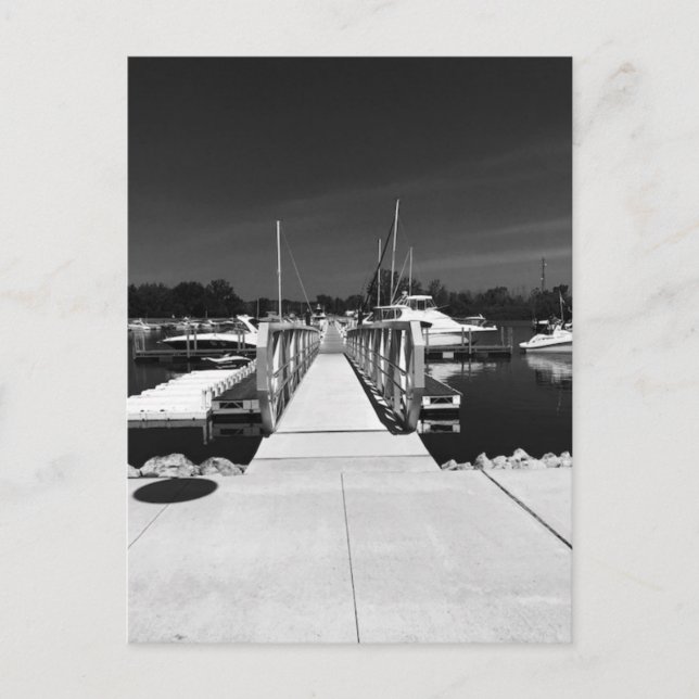 "Marina on Middle Bass Island" Greeting Card (Front)