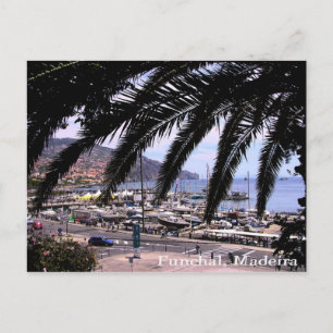 Marina view @ Funchal Postcard