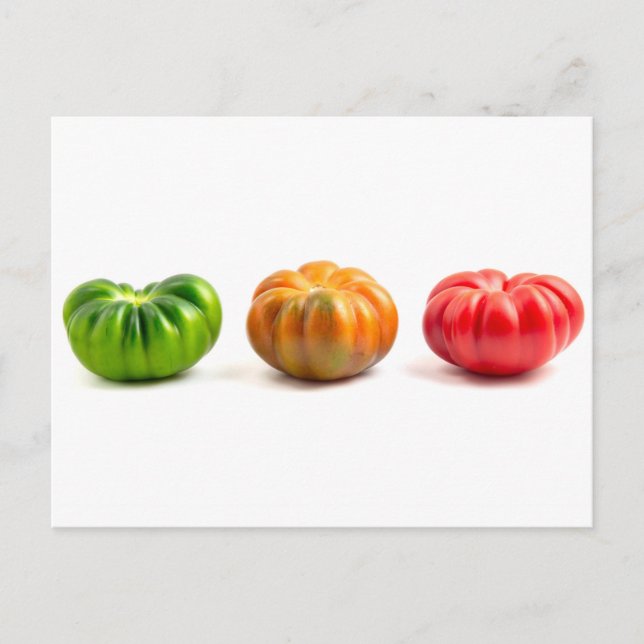 Marinda Tomatoes Postcard (Front)