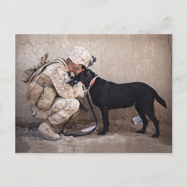 Marine and His Dog Postcard (Front)