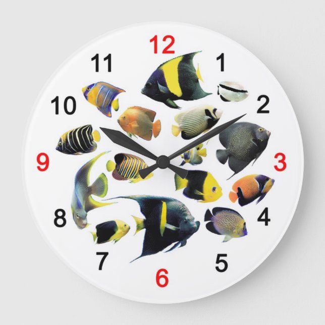 Marine Angelfishの掛け時計 Large Clock (Front)