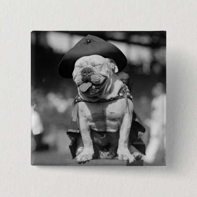 Marine Corps Mascot, 1920s 2 Inch Square Button (Front)