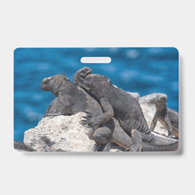 Marine Iguana Badge (Front)