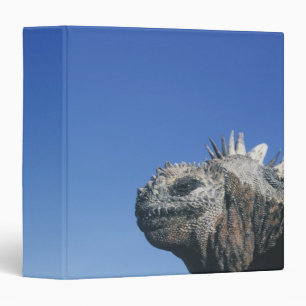 Marine Iguana Binder