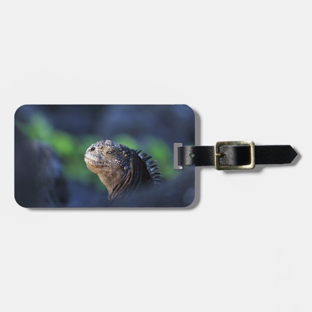 Marine iguana Galapagos Islands Luggage Tag (Front Horizontal)