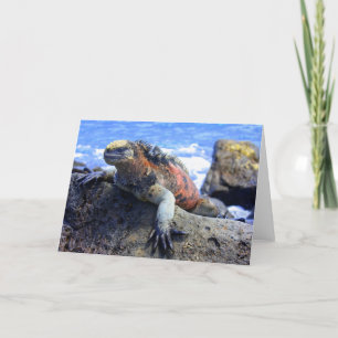 Marine Iguana Holiday Card