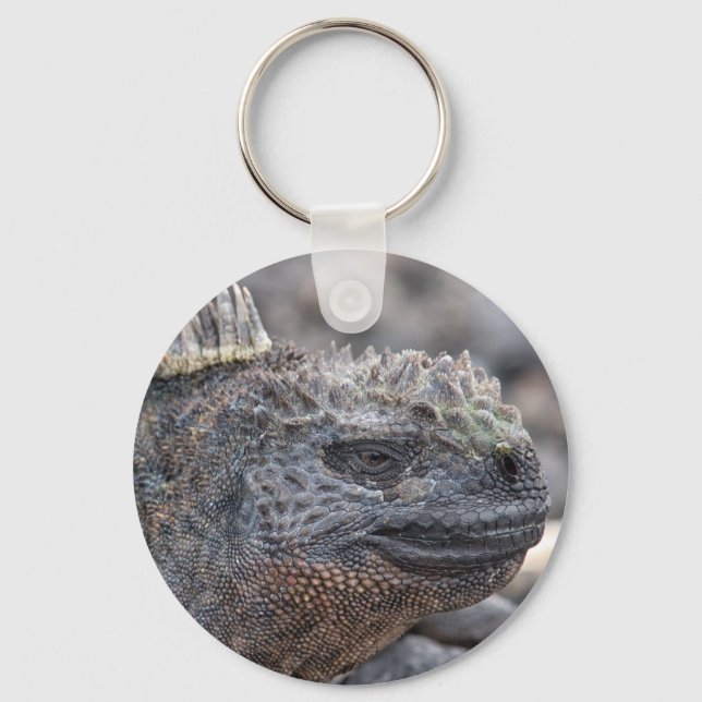 Marine Iguana Keychain (Front)