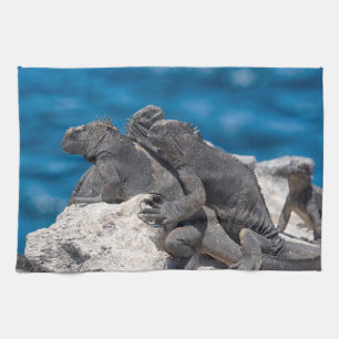 Marine Iguana Kitchen Towel