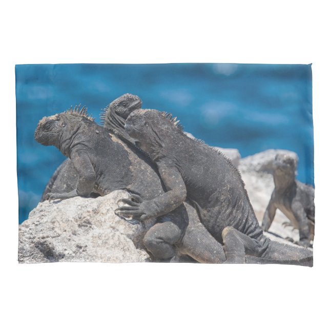 Marine Iguana Pillowcase (Front)