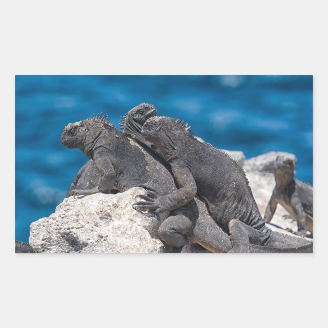 Marine Iguana Sticker (Front)