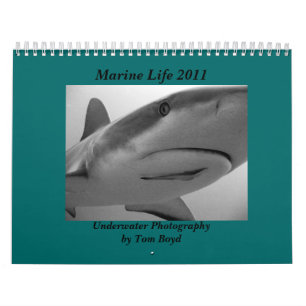 Marine Life 2011 Calendar