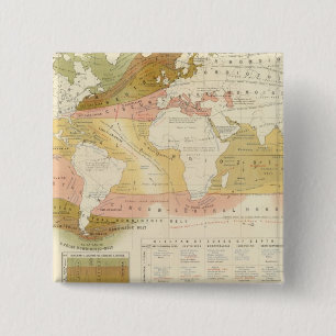 Marine life 2 inch square button